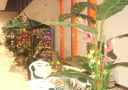 TACT�b�X�܁E�W����Epop�E�V�����[���E�C�x���g-�T�[�r�X