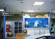 TACT�b�X�܁E�W����Epop�E�V�����[���E�C�x���g-�T�[�r�X